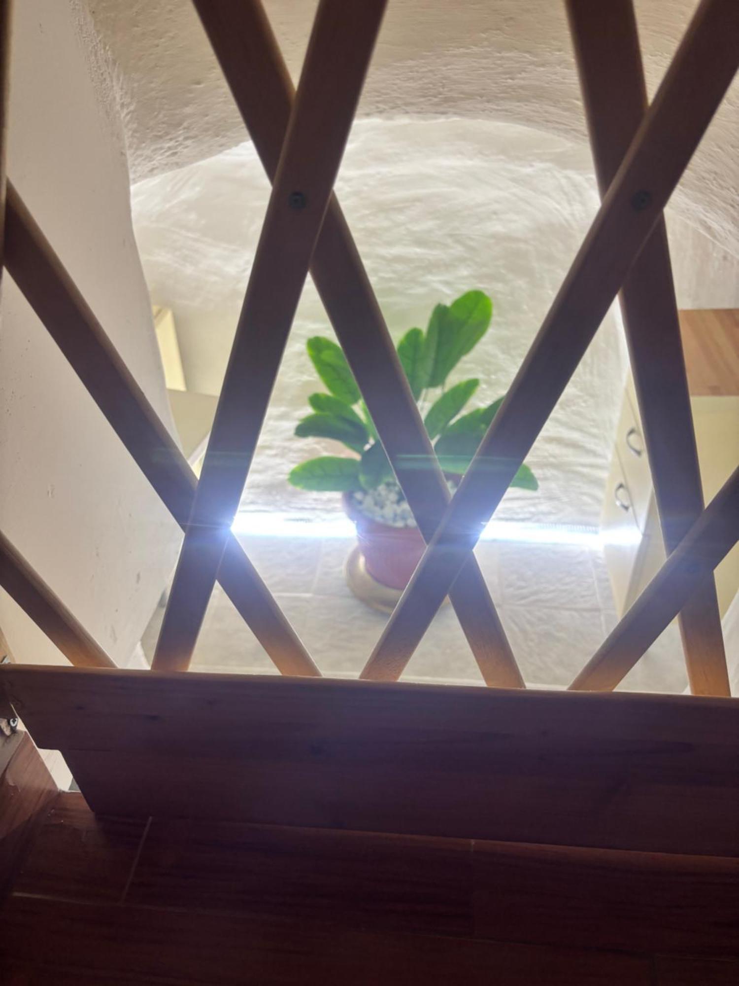 鲁蒂利亚诺Santa Lucia别墅 外观 照片